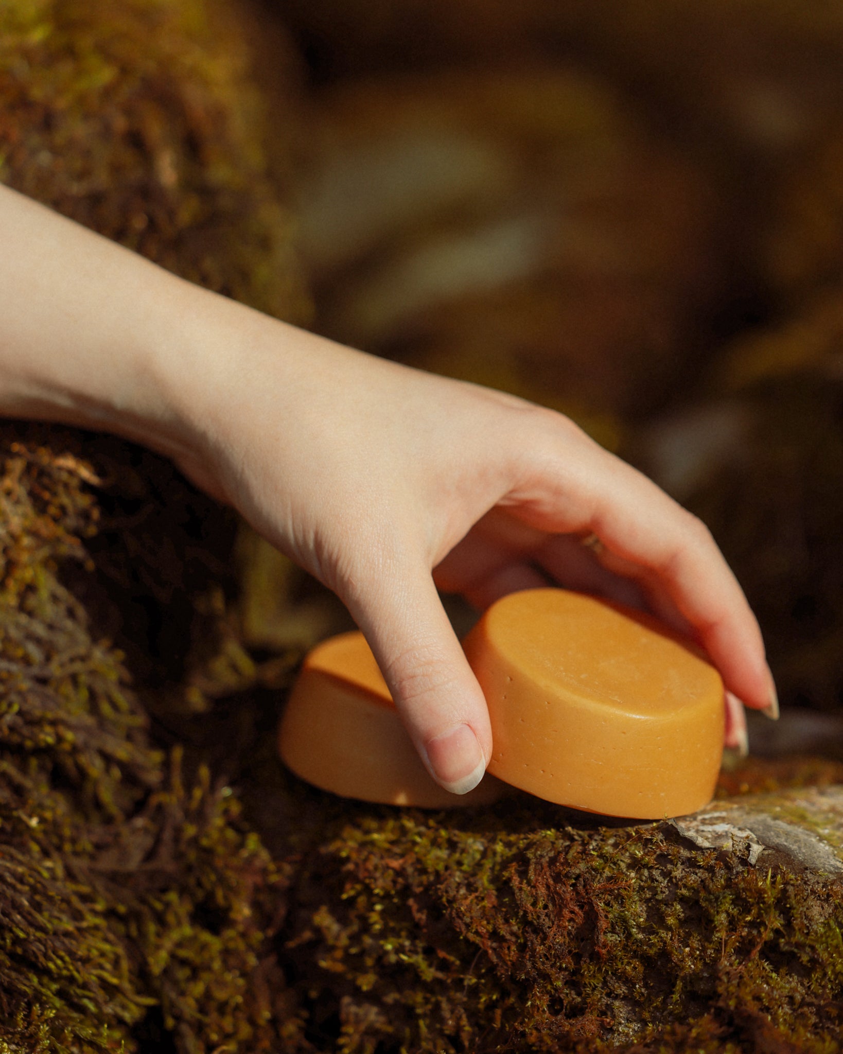 Mango Conditioner Bar