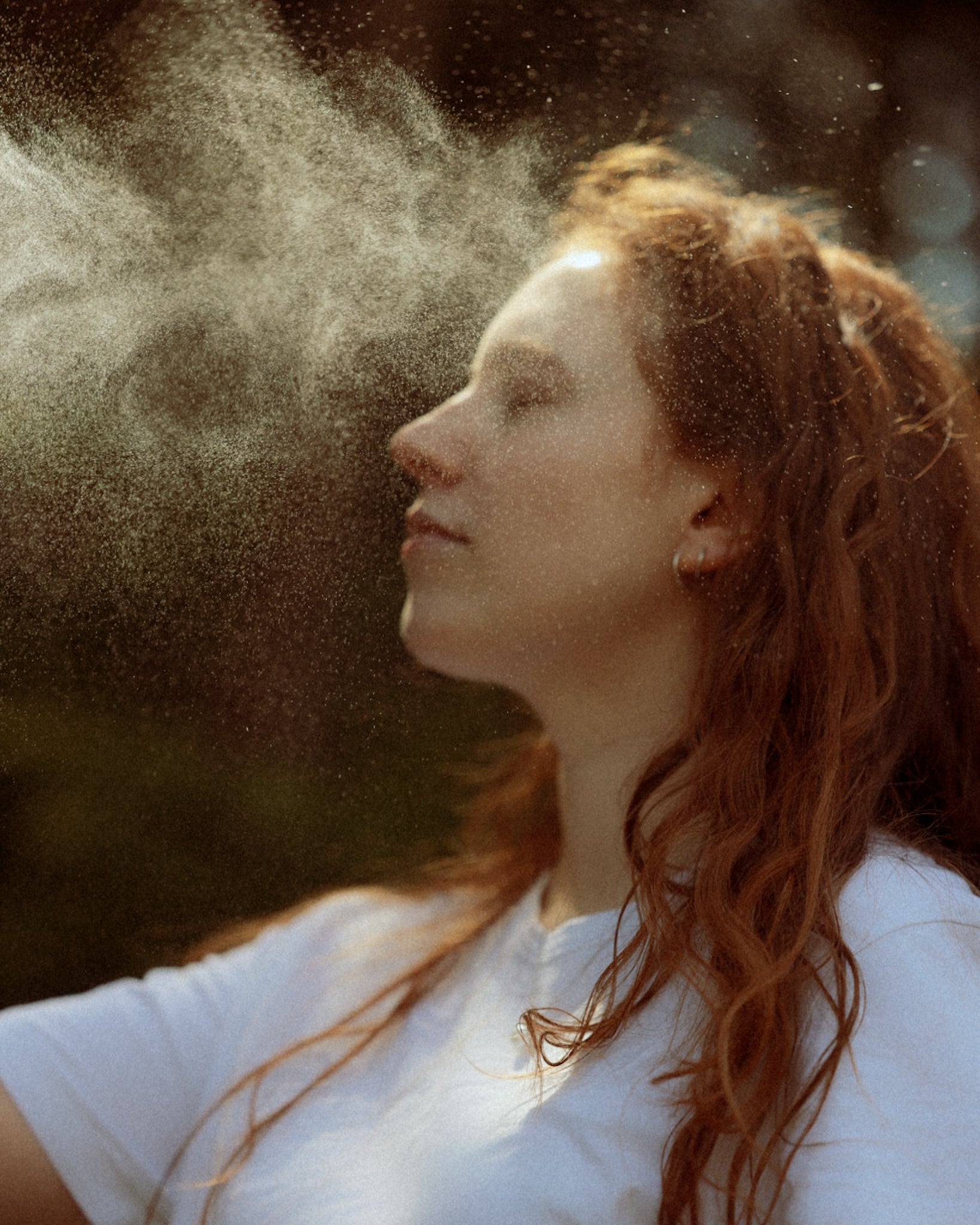 Kamillenblüten Gesichtswasser